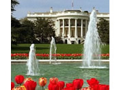 The White House